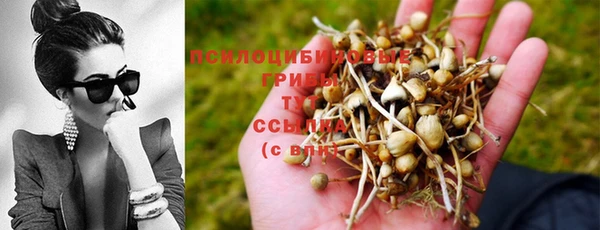 spice Волосово
