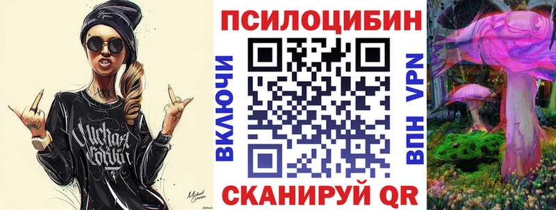 Галлюциногенные грибы Psilocybe  Купить закладки  Ковдор 